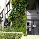 Growing Style - Natural Habitats living wall is thriving 