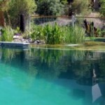 Eco-friendly swimming pool revolution reaches NZ