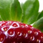 Wally Richards - winter gardening & strawberries