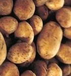Wally Richards - July is potato planting month