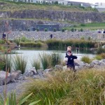 Auckland city's Maungarei Springs Wetland opens