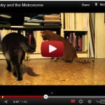 Youtube video - smokey and the metronome 