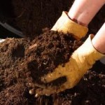 Turning Biowaste into Compost