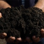 Idea videos: Compost Bins & Buckets 