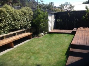 Back garden space after
