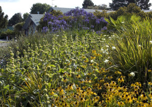 Design Trends - New Perennial Planting by Nick Robinson