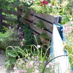 Ecological Garden Design -  Planning and planting for biodiversity and beauty