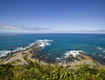 Have your say on restoration of Te Raekaihau Point