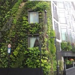 Green Wall for Auckland City gets the go ahead