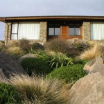 Subalpine beauty in the Mackenzie Basin - a Findaplant.co.nz article