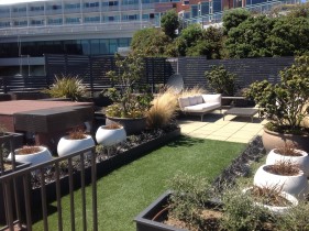 A 'Rooftop' garden in Wellington 
