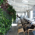 Greenwall installed in The Department Store